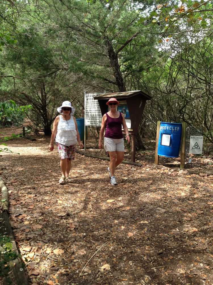Lunch and Conversation